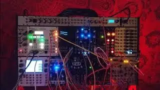 Petals and Stars - Ambient - Qu-Bit Nebulae, Intellijel Plonk