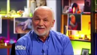 D’où vient l’intelligence de la pieuvre ? - Les chroniques de la science