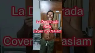 La Descarada - Reyli Barba - Cover by Casiam #cover #music #reylibarba #novela