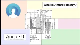 what is Anthropometry? | Anea 3d body scanner