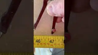 Making Famous  Drum Company Solid Steam-Bent Single Ply Drum Shells (Part 1)