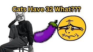 Crazy Cat Facts and Funny Shorts Compilation😂
