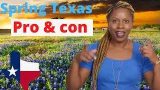 The Real Pro and Con Living in Spring Texas 2022