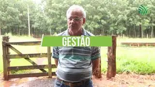 Senar/MS Transformando Vidas: Floresta Plantada