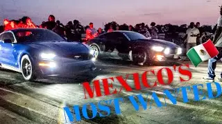 Nitrous 5.0 vs VMP supercharged 5.0