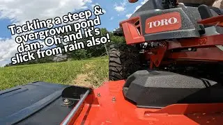 Газонокосилка фермерского класса TORO TITAN 60 2024 года справляется с заросшей и скользкой плотиной пруда!