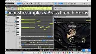 acousticsamples V Brass French Horns test