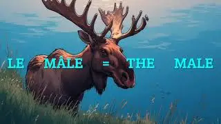 CARTOON/   THE  GENERAL   FRENCH.  COURSE /  ANIMAL  VERSION