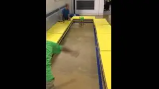 Nine Pin
