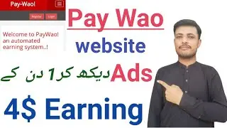 How to make money online in Pakistan Pay Wao website