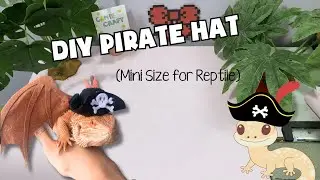 DIY Pirate Hat for Bearded Dragon/Gecko | Cute And Easy | Camie Craft