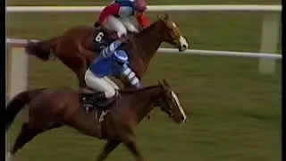 1984 Arkle Challenge Trophy Bobsline + Replay