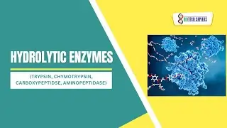 Hydrolytic enzymes
