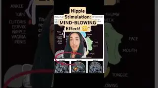 Women's brains during nipple stimulation....💡