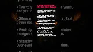 🧬 7 Animal Instincts That Still Rule Human Behavior (Unfiltered Truth)...