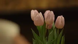 Forcing Bulbs