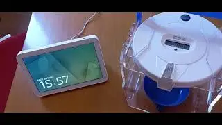 Dispenser automatico per farmaci e assistente vocale