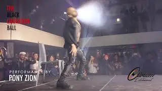Icon Pony Zion - Black Liberation Ball