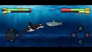 Marine's BATTLE EP1 (Orca vs Great White Shark)