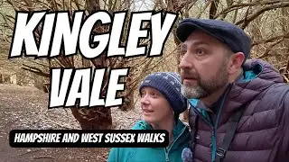 Kingley Vale walk - ANCIENT Yew Forest | Kingley Vale summit!