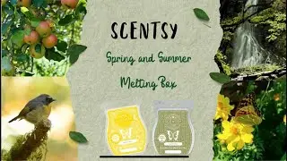 Scentsy Spring and Summer Melting Box
