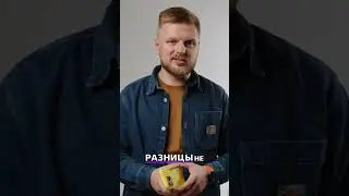 iPhone 16: Зарядка, Цены и Секретная Кнопка! #shorts