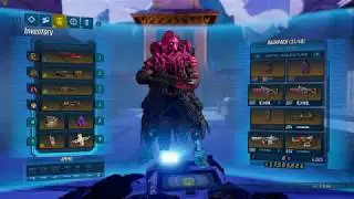 Borderlands 3 Flak crit build and my load out