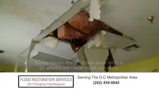 Northern Virginia Water Damage: Flood Cleanup Process Explained