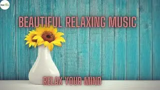 RELAXING MUSIC |  CALMING | MEDITATION MUSIC | RealChoice Daily Life