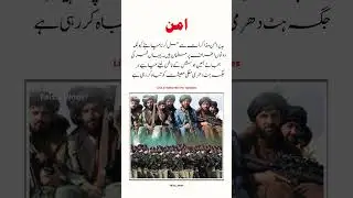 🕊️ Peace Over Pride | A Message for Unity and Wisdom 🌍 #pakistan #afghanistan  #faizanoor #shorts