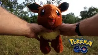 I HAD TO HATCH NINE 5KM EGGS AND SEE! (POKEMON GO)