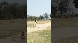 no look six 🏏🏏 1 m