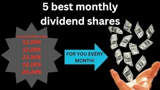 Top 5 Shares With Highest Monthly Dividend Yield 2023 |TradingHelp