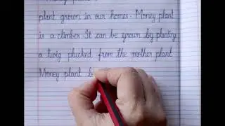Neat and Clean English Cursive Handwriting practice in Ballpen/calligraphy/fourlinenote/beginners/#6