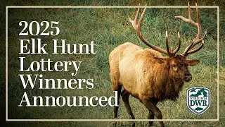 2025 Virginia Elk Lottery Announcement