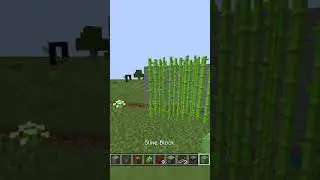 Automatic Sugarcane Farm - Minecraft Tutorial [Java 1.17] #shorts