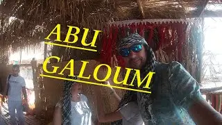 AVVENTURANDO IN PILLOLE Abu Galum (Egitto)