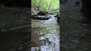 A beautiful stream. #outdoors #waterstreamsounds