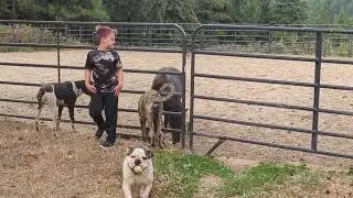 chaos of small farming