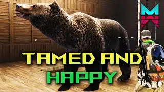 My Bears And Wolves Are Tame Now Follow Up to My Taming Animal Guide Once Human