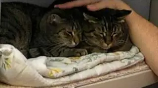 JILLIAN AND JACOB - A SWEET PAIR!