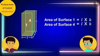 Surface area of a cuboid | Part 1/3 | English | Class 8