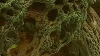 Mandelbulb: true zoom in (dollying)