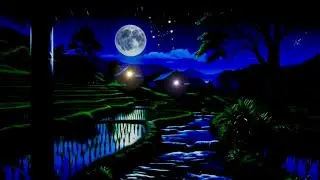 🌾🦗 Night Nature Ambience in Rice Fields | Calm Music for Sleep & Meditation