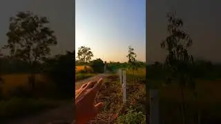 #farmhouseplots #plotsforsaleinpmc #realestatevideo #propertyforsaleinpune #villqplotforsale