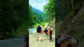Rasha#janana#mountains #adventuretourism #trending#neelumvalley#taobut#kashmir@TanveerKhattak-jm8fd