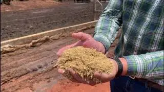 Confinamento de Novilho Super Precoce no Paraguai