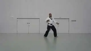 Basic form 1 - KI CHO HYUNG IL BU