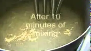 High Shear Mixer - Batch - Mixer in Action