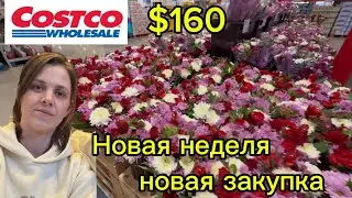 США// Закупка продуктов в двух магазинах 